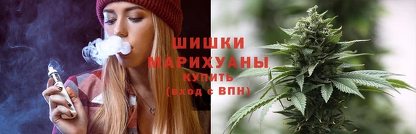 ГАЛЛЮЦИНОГЕННЫЕ ГРИБЫ Майский