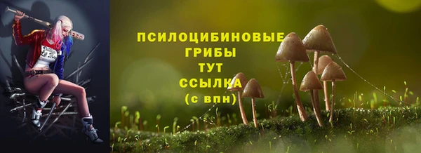 ECSTASY Магас