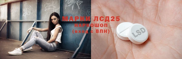 ECSTASY Магас