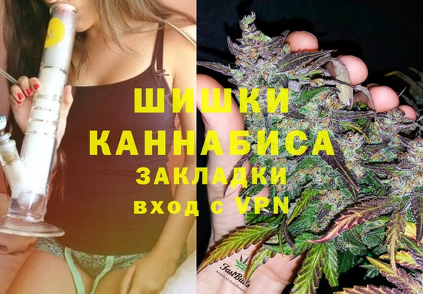 ГАЛЛЮЦИНОГЕННЫЕ ГРИБЫ Майский