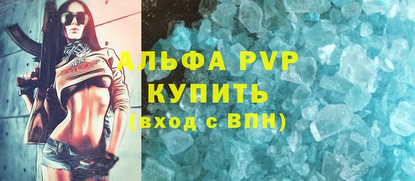 ECSTASY Магас