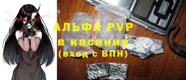 ECSTASY Магас