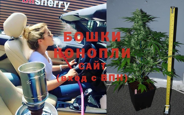 ГАЛЛЮЦИНОГЕННЫЕ ГРИБЫ Майский