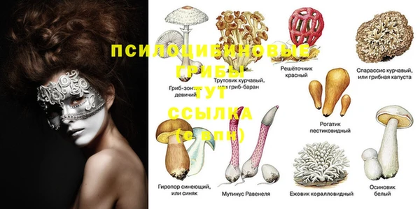 крисы Армянск