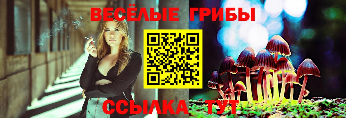 Галлюциногенные грибы Cubensis  Вход с VPN  Новый Уренгой 